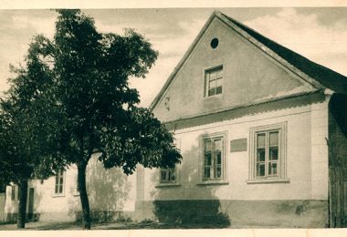 Змај Јовина кућа, Сремска Каменица, 20-их година 20.века