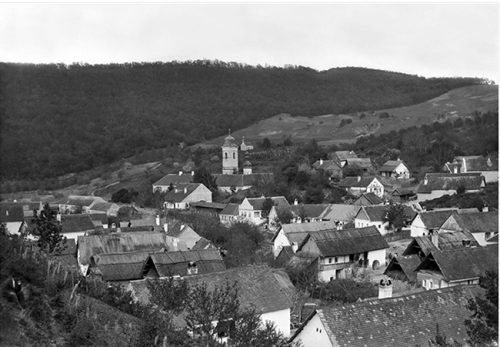 Панорама раковачког прњавора са погледом на манастир и црквену капелу, 1904, Раковац, Богдан Шекарић, Фотографије др Радивоја Симоновића, Нови Сад, 2014.